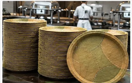 Natural leaf plates used for hotels